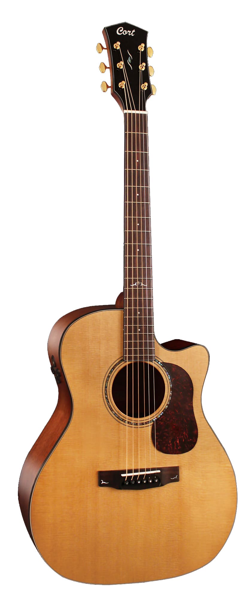 Cort Gold A6